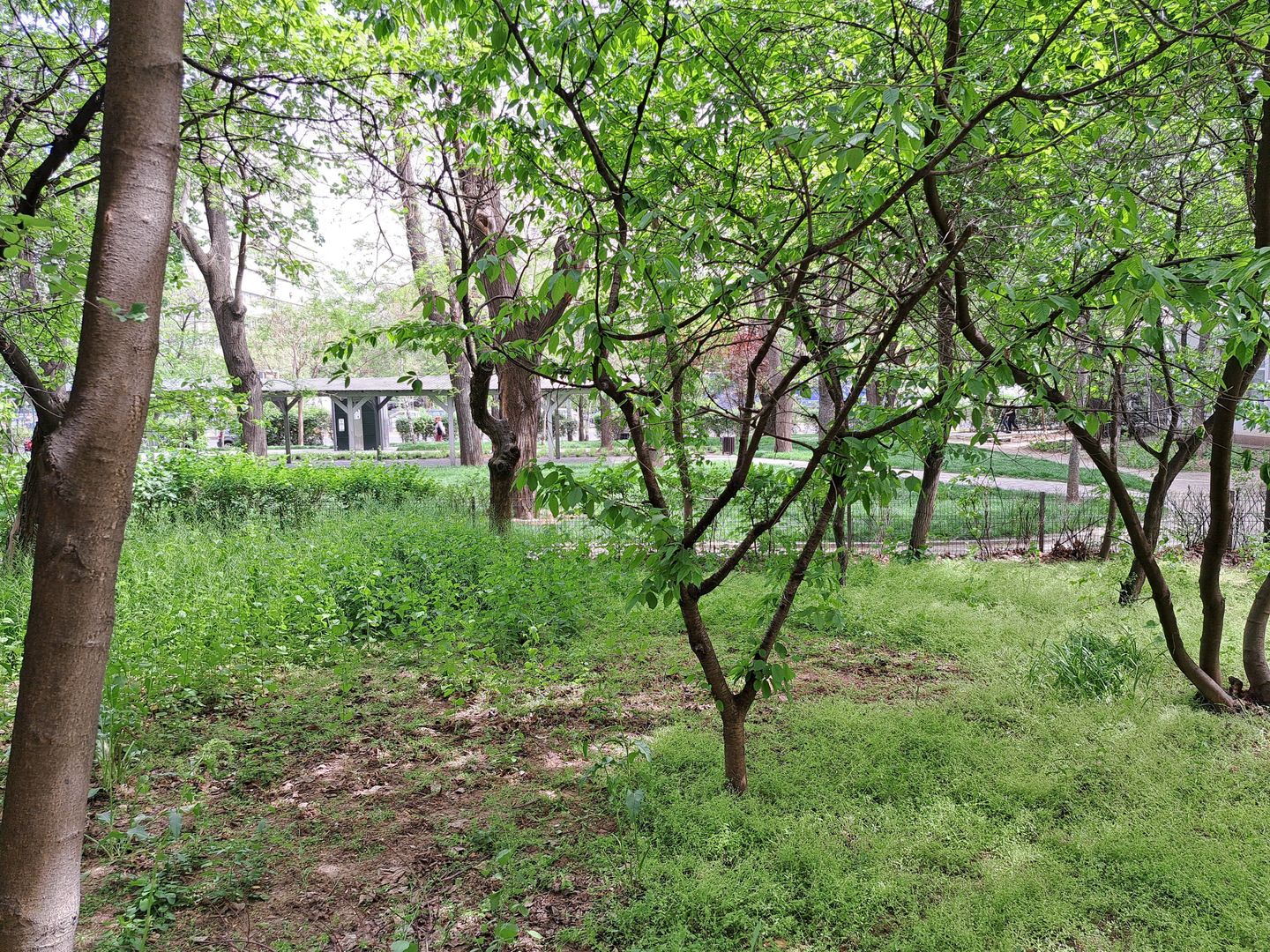 Garsoniera in zona Drumul Taberei - strada Brasov - Poză 7