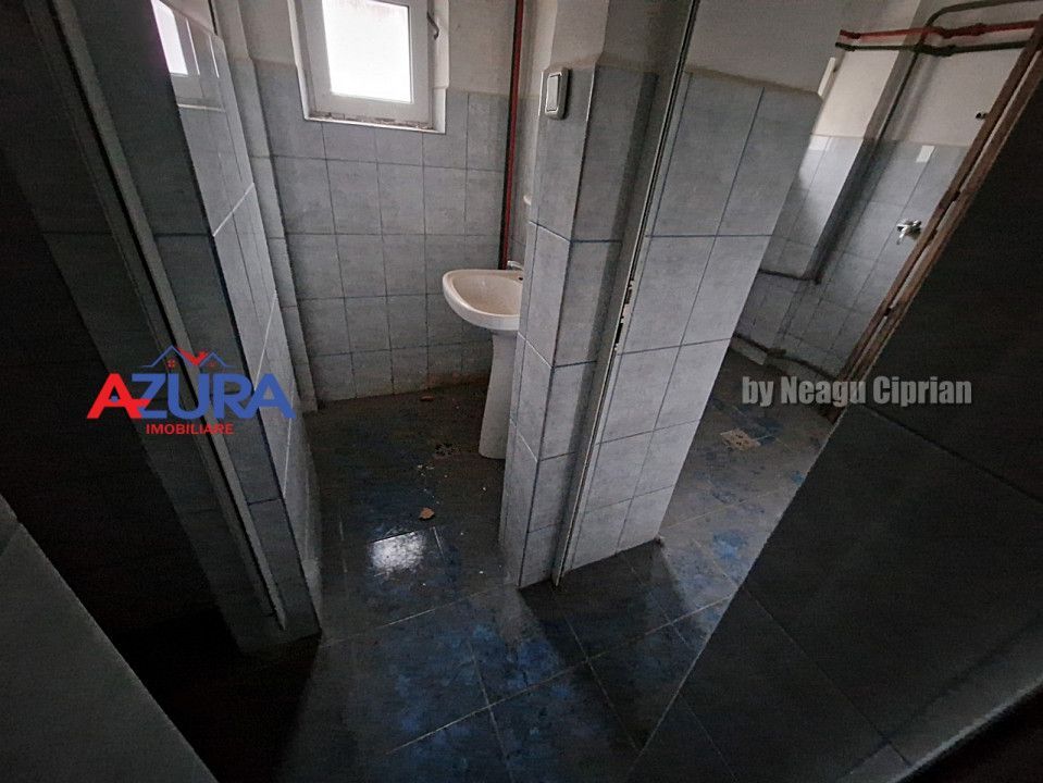 Hala Pitesti cu Pod Rulant, acces TIR - Poză 10