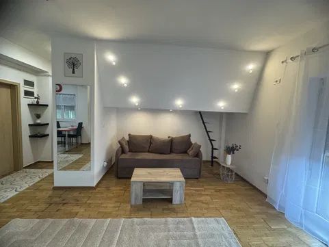 Apartament 1 camera Giroc parter cu balcon - Poză 5