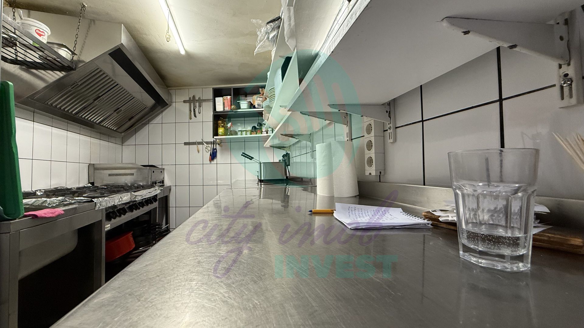 Grădina Icoanei – vilă cu potențial multiplu - Poză 12