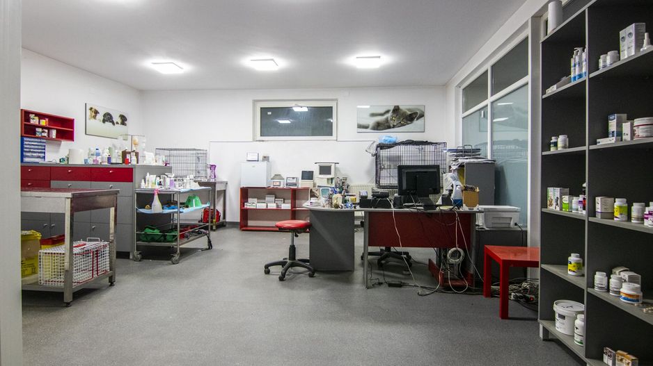 Spatiu birou / comercial / cabinet, zona Brancoveanu - Alunisului - Poză 4