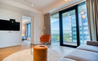 Apartament spectaculos High End 2 camere I One Mircea Eliade - Poză 2