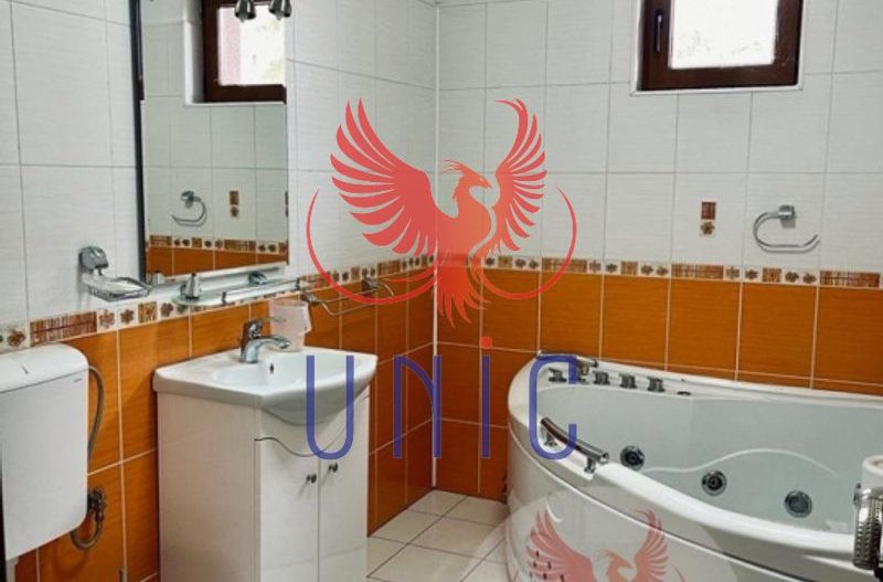 Super pret - Vila P+E+M, Lapus-Arges - Poză 19