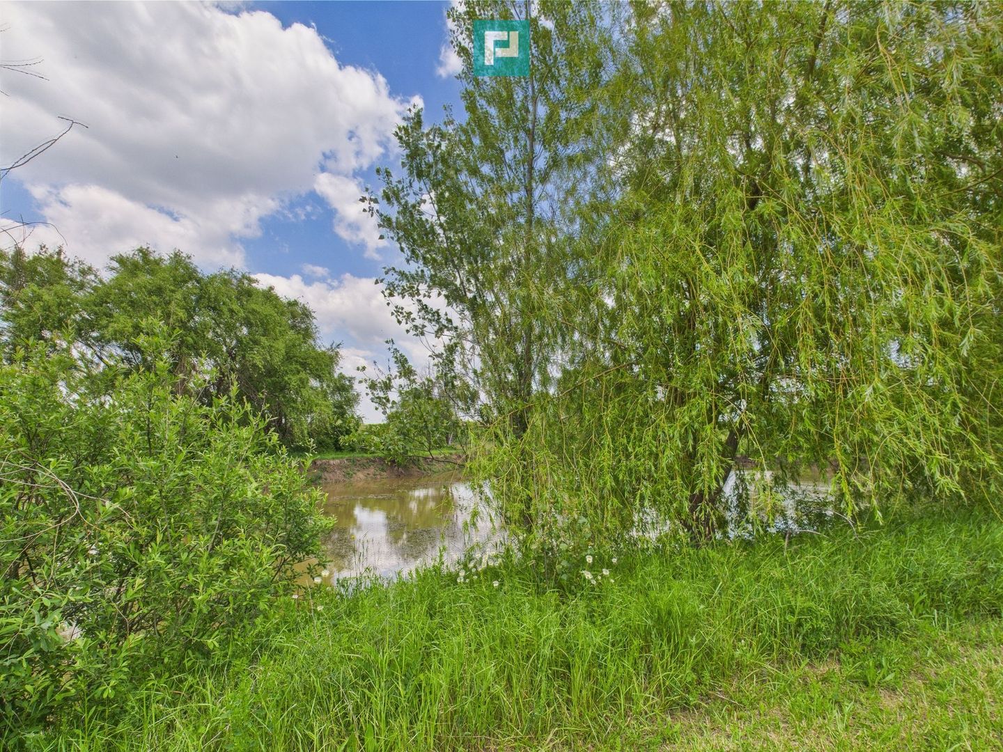 Teren cu baltă- oportunități multiple la Fibiș - Poză 11