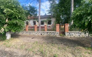 VILA DE VANZARE IN BALINT - Poză 2