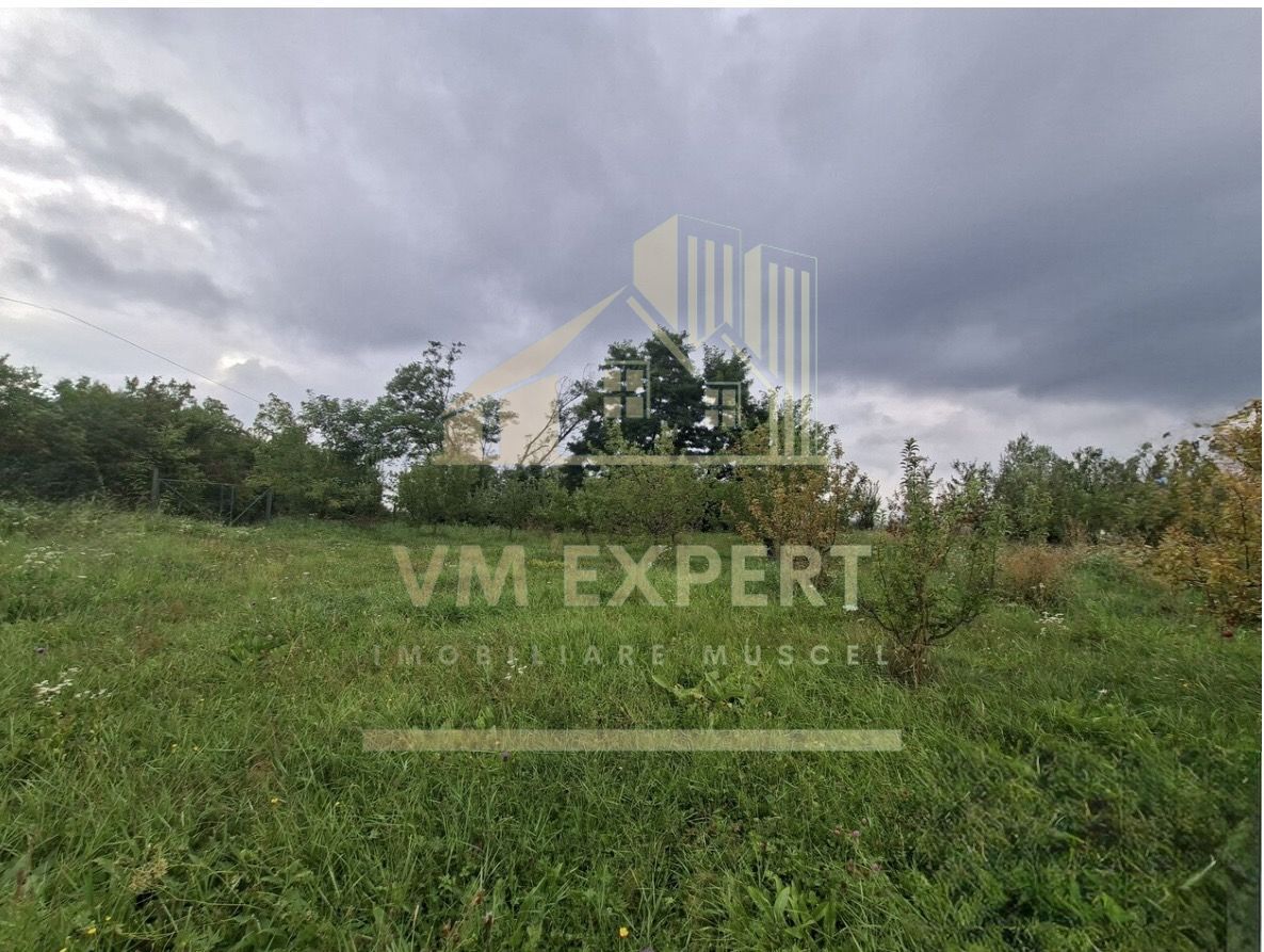 TEREN 20.621 MP CAMPULUNG - Poză 3