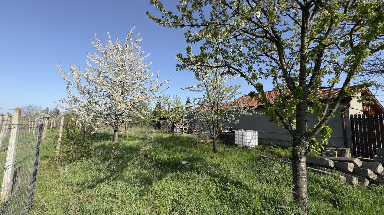 Teren Intravilan 980 mp Carei -GrădinaViilor Zona Str. Livezilor - Comision 0% - Poză 11