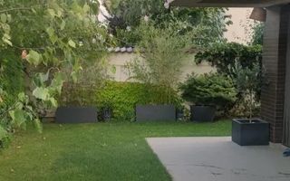 3 bedroom house | Otopeni - Poză 15