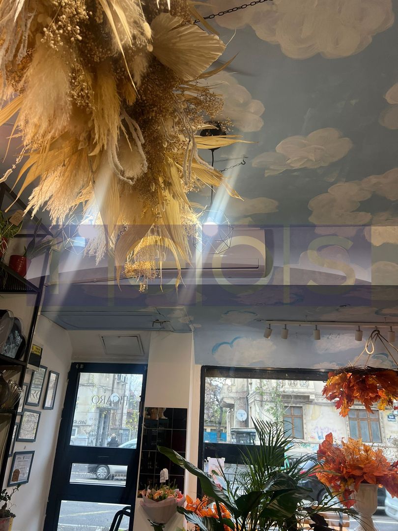 VANZARE SPATIU COMERCIAL | STRADAL | PACHE PROTOPOPESCU | 36MP | - Poză 3