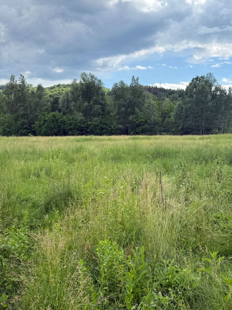 Teren plat-intravilan -3800 mp, cu pădurice și ieșire la râu! - Poză 26