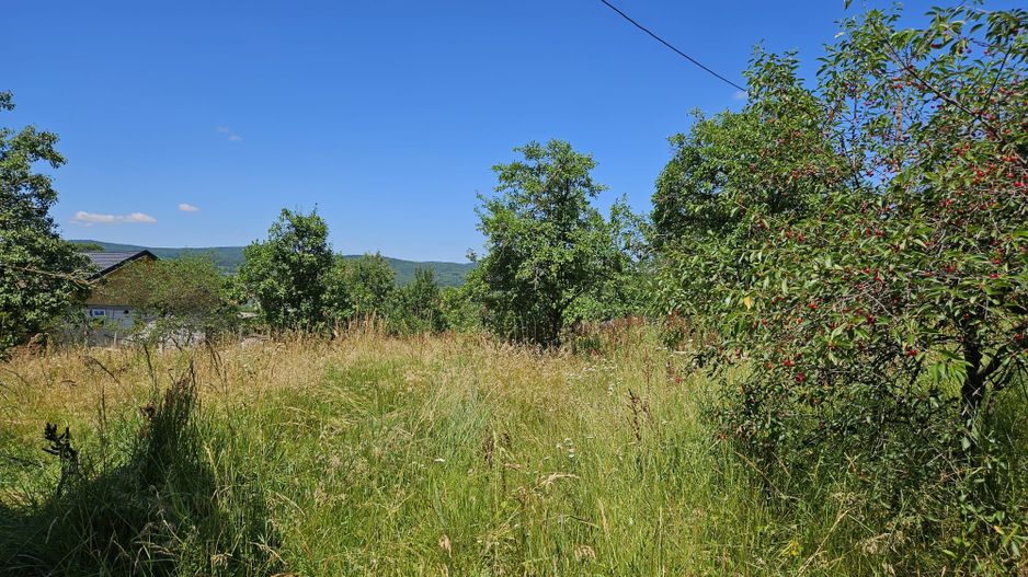 Vanzare teren intravilan, Zigoneni - Curtea de Arges - Poză 9