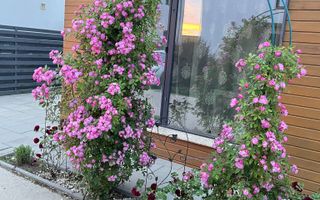 Vilă Individuală de Lux - Poză 3