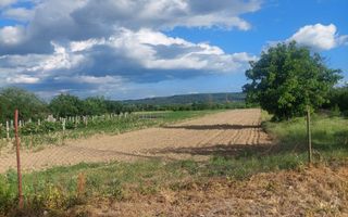Teren 3.000 mp la principală în Telești | 30.000€ | Comision 0% - Poză 3