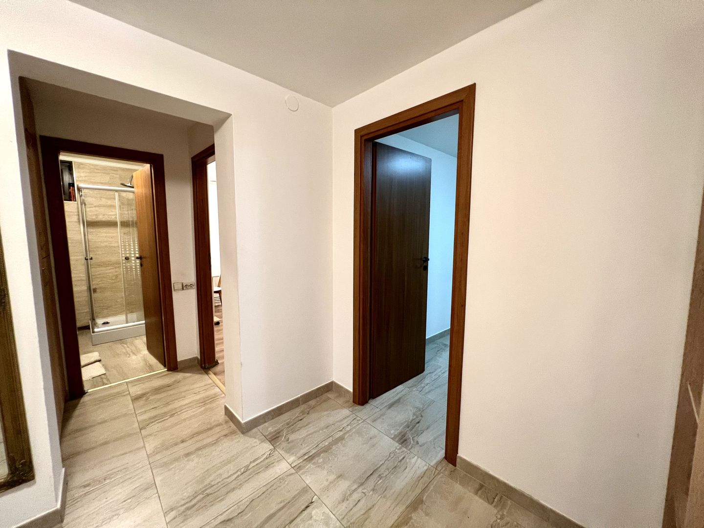 APARTAMENT ZONA MEDICINEI - Poză 9