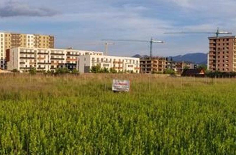 Teren Tractoru-1000 mp - Poză 2