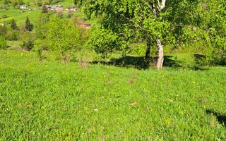 Teren extravilan de vanzare, Bistrita Bargaului- 10 minute de Colibita - Poză 15