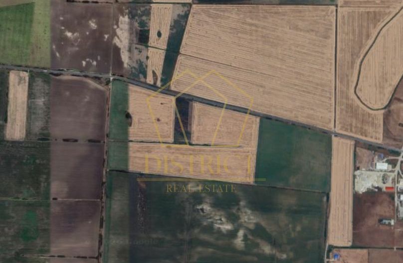 Teren extravilan la DN pentru PUZ | Sacalaz - Poză 2