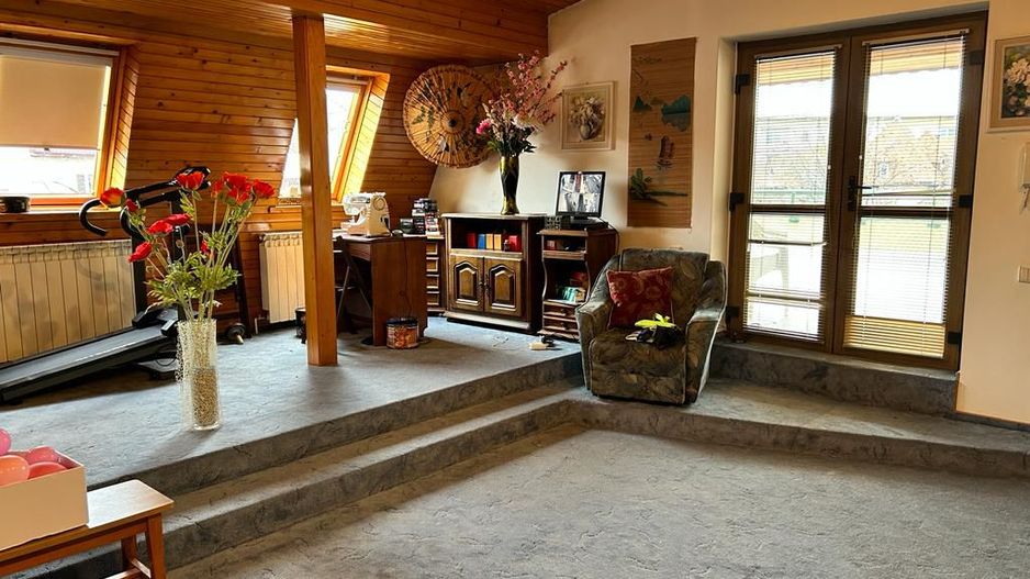 Vila individuala cu 5 dormitoare Cotroceni - Poză 10