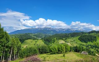 Teren Drumul Carului, Moieciu Suprafață: 29.595 mp | Intravilan - Poză 3