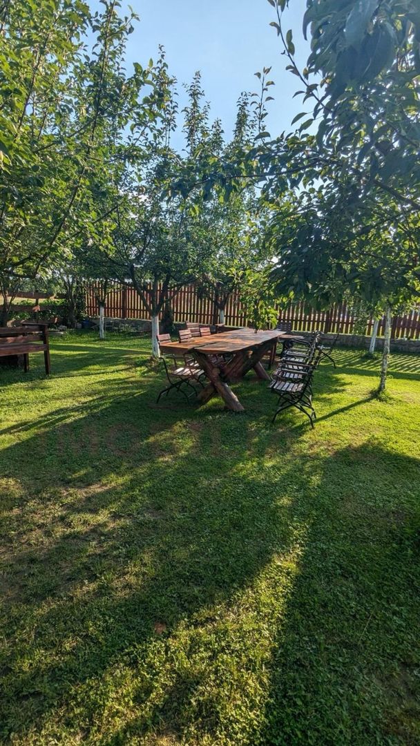 RESTAURANT DE VÂNZARE-COM. OBREJA\SAT IAZ\CARAȘ SEVERIN - Poză 10