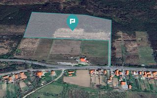 Teren de vânzare – 5,47 ha | Dealul Viilor, Lugoj - Poză 1