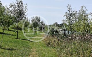 De vanzare BALTA DE PESCUIT, 3,80 ha, cabana din busteni, langa Vama Bors, Bihor - Poză 22