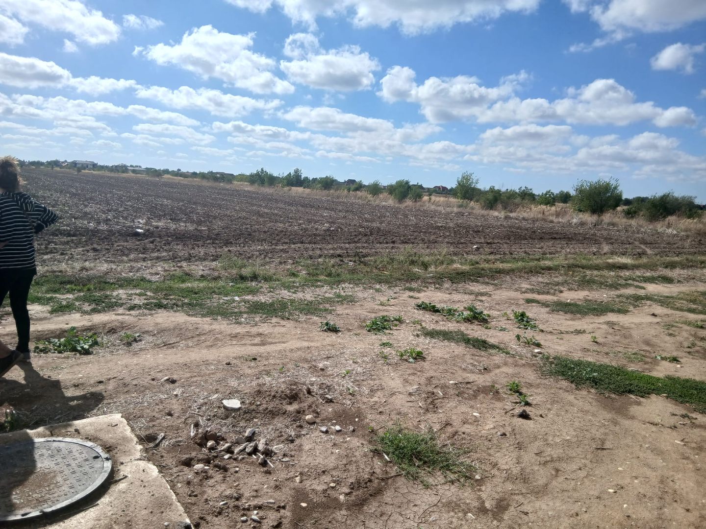 Teren de vanzare 4500mp Strada Rasaritului Darvari Ciorogarla A0 - Poză 1