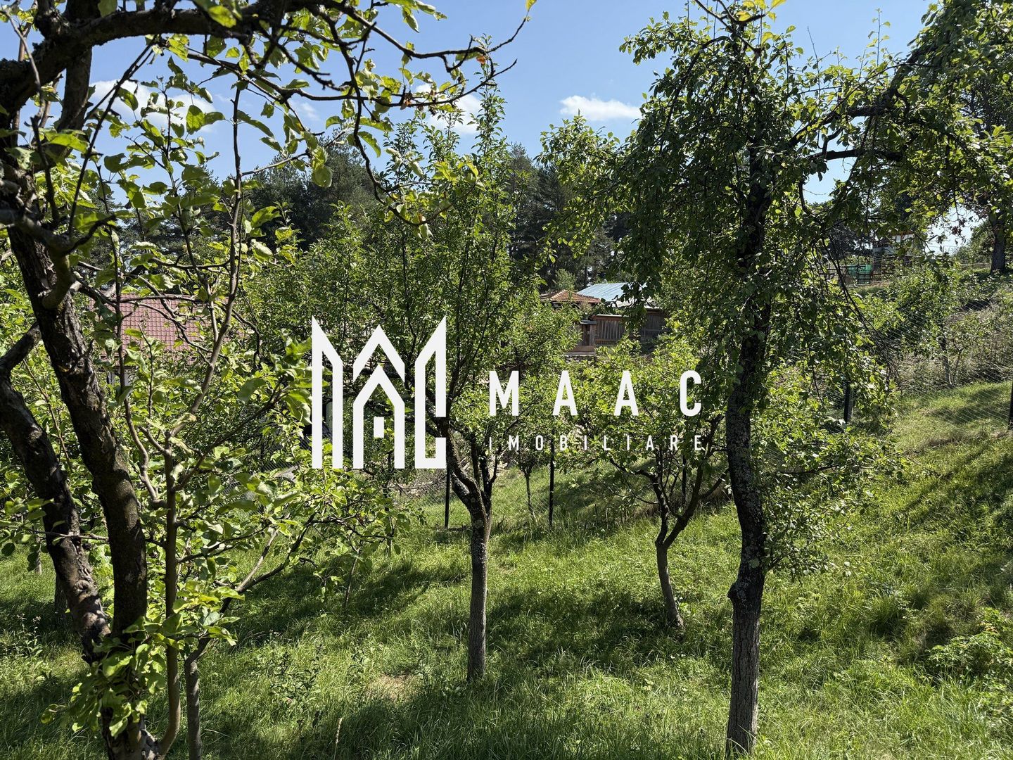 Casă deosebită I Sat Vale, Mărginimea Sibiului - Poză 12