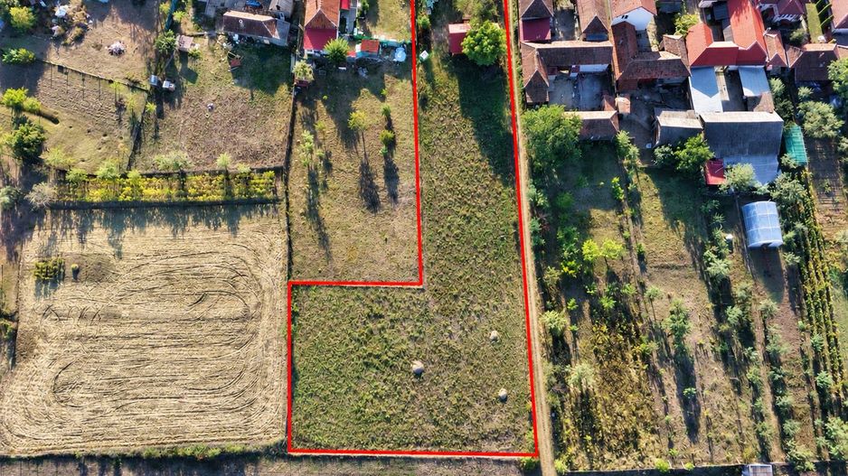 Teren Intravilan Betfia - Poză 2