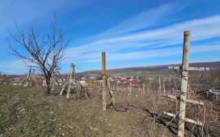 Teren pentru construcții 10 ari Vasieni, Ialoveni - Poză 9
