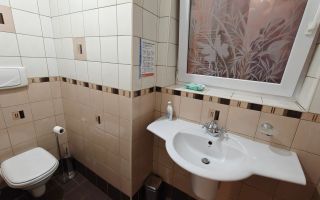 De închiriat: vilă interbelică - stradal - Berzei-190 mp utili - Curte - Poză 17