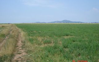 Teren extravilan Prejmer - Poză 3