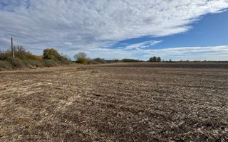 Vand Teren Extravilan Biled(zona industriala) 25.000mp,F.S la DN6 - Poză 5