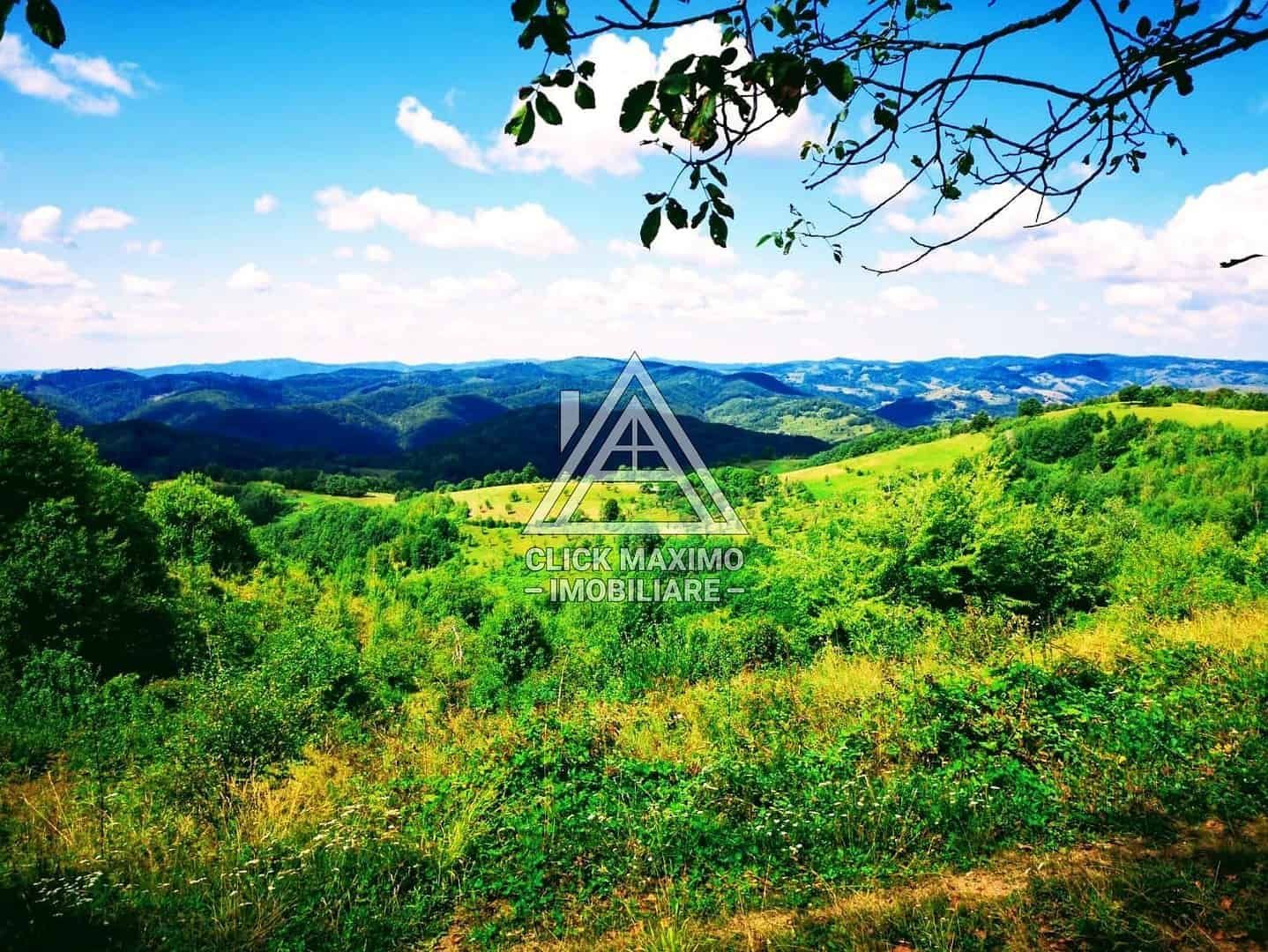 CASĂ și TEREN 85.000 mp – Casa părintească Părintele Arsenie Boca - Poză 7