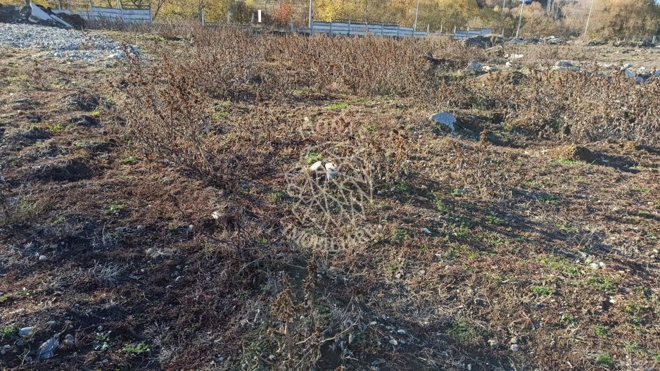 Teren intravilan 2,06 ha-parcelabil- investitie/hala-Zona Industriala - Poză 3