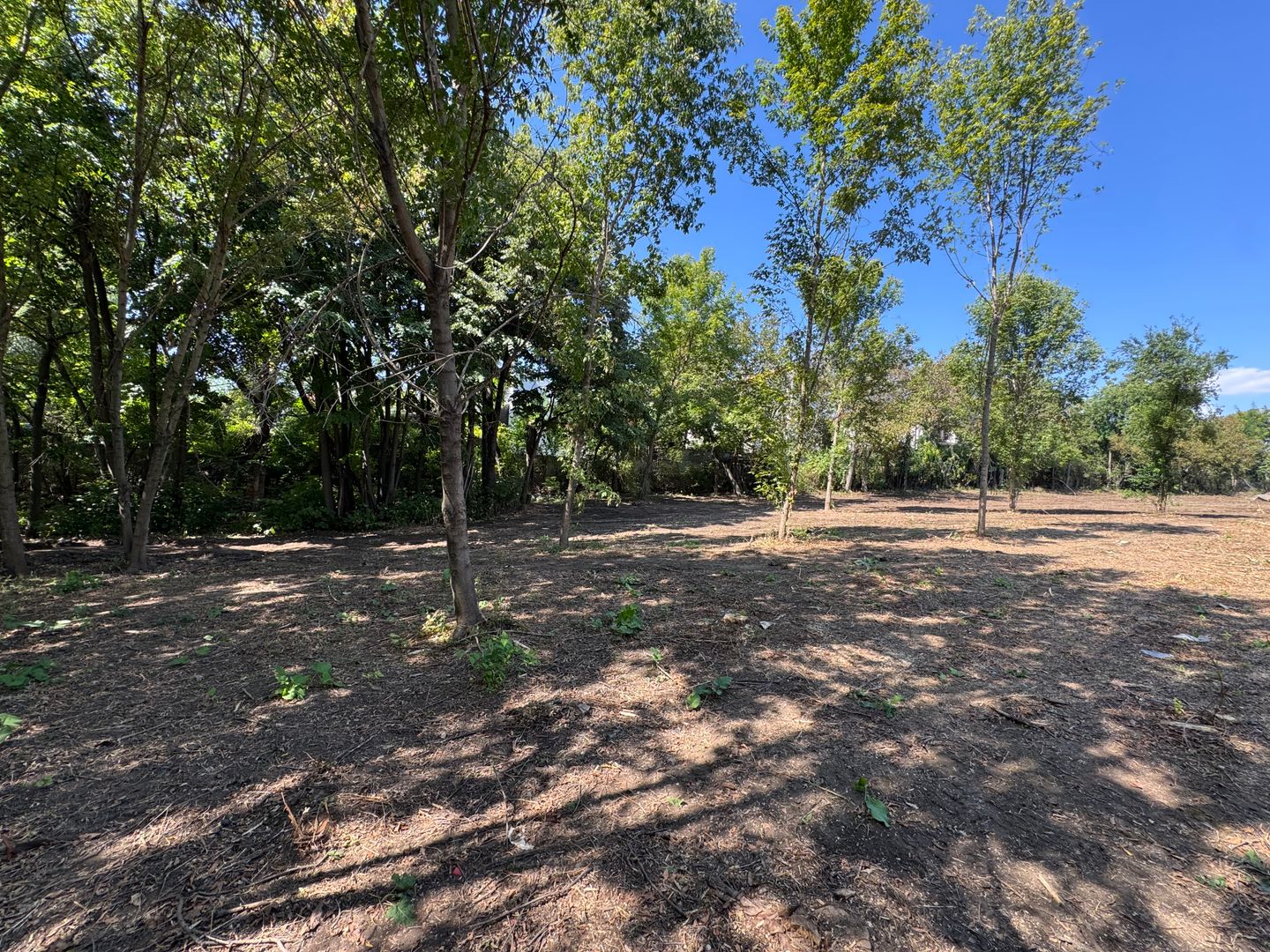 Teren 5.000 mp –propunere din 10.065 mp zona Iancu Nicolae-Jolie Ville - Poză 9