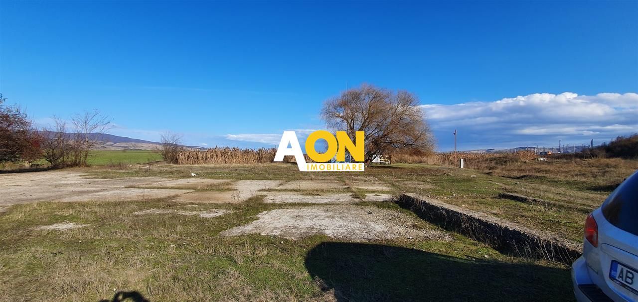 Teren industrial 44.200 mp, Vințu de Jos, Oportunitate de investitie - Poză 3