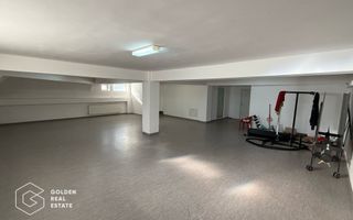 Spatiu comercial pentru activitati medicale, Calea Radnei - Poză 2