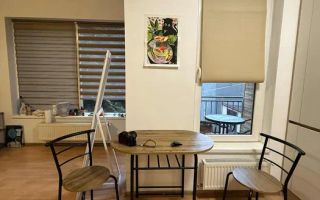 o garsoniera, Zorilor, Golden Tulip, UMF, Lidl - Poză 7