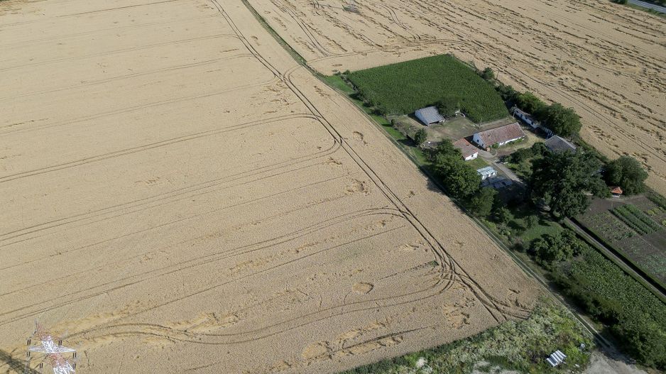 Teren 7653mp cu PUZ aprobat DN Arad Oradea - Poză 7