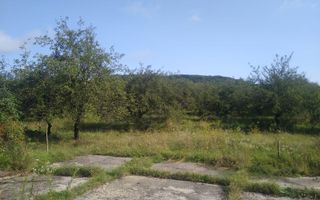 Teren 1500 mp - pretabil cabana/investitie - Zona Valea Rusului - Poză 4