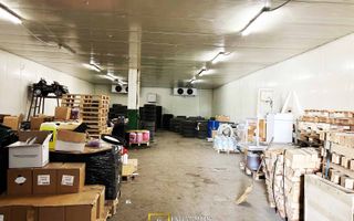 Hală de închiriat Arad Grădiște– 479 mp - Poză 5