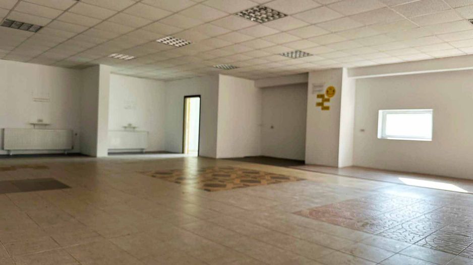 Hala industriala de inchiriat – Arad, Strada Padurii - Poză 6