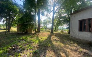 VILA DE VANZARE IN BALINT - Poză 4