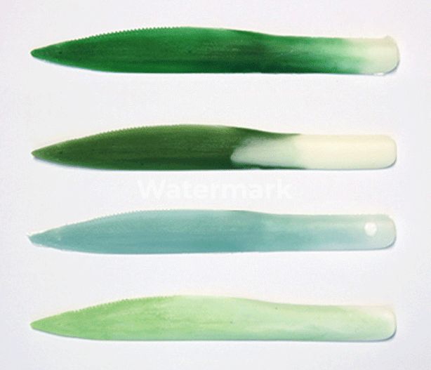 Spatiu de birouri de inchiriat la Classia Center - Poză 29