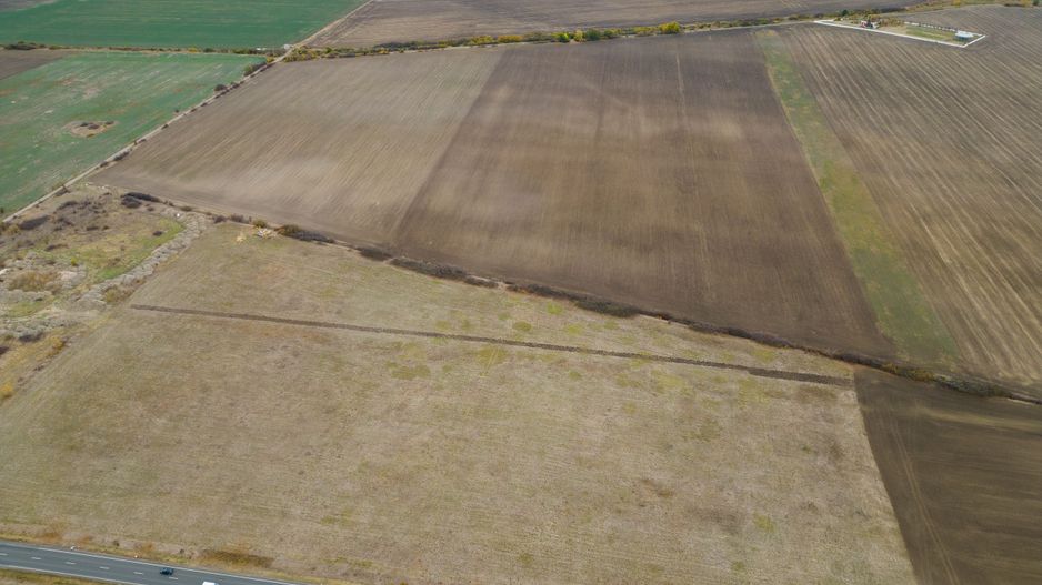 Teren 22.500 mp–Pecica, jud. Arad,Posibilitate PUZ - Poză 7