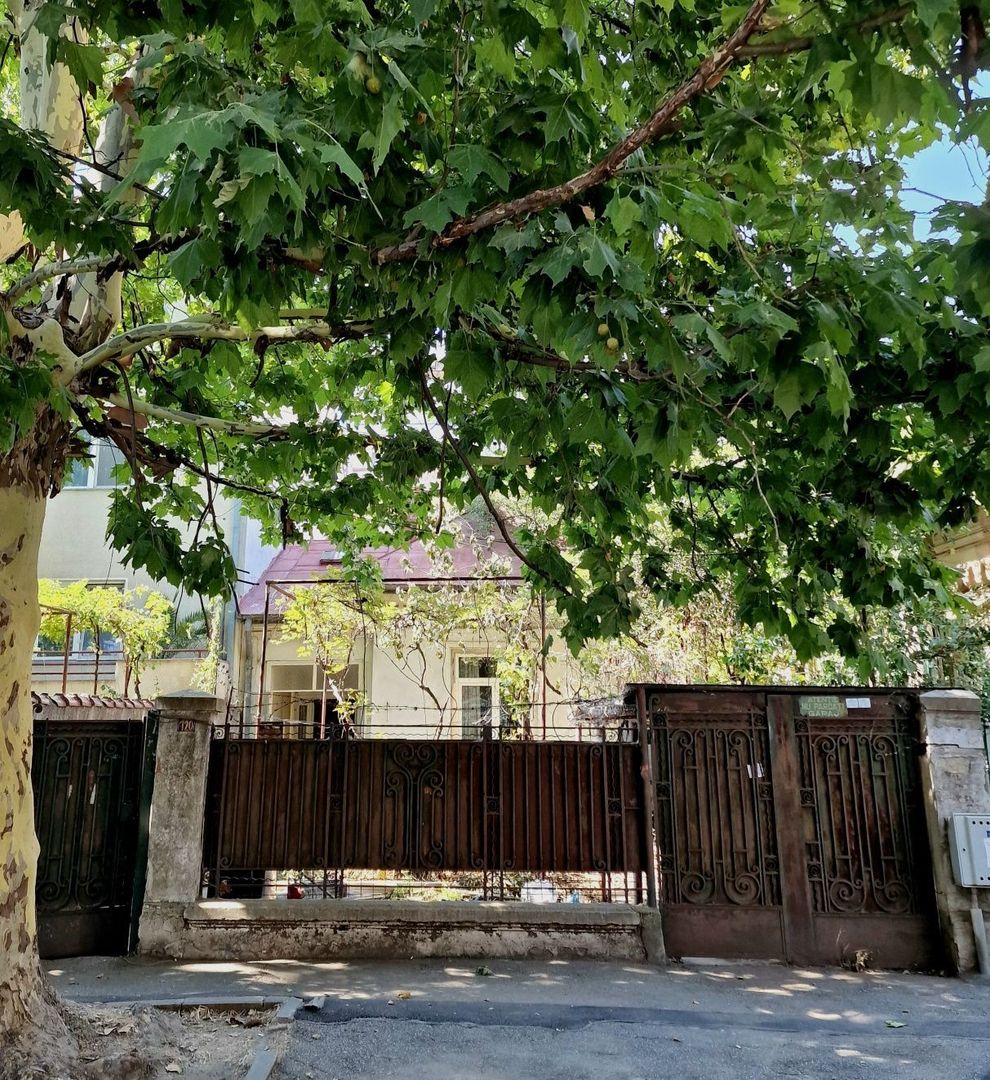 Casa parc Carol, metrou Tineretului, - Poză 1