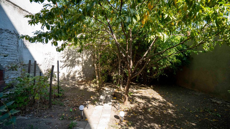 Casa de vanzare, Cantemir - Poză 12