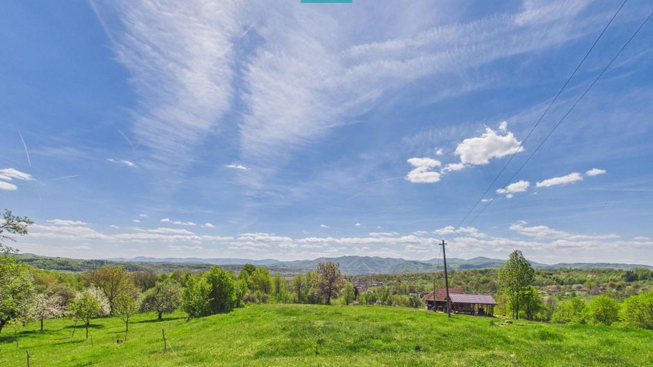 Proprietate rară cu 24.270 mp, în Măgulicea, Arad! - Poză 24