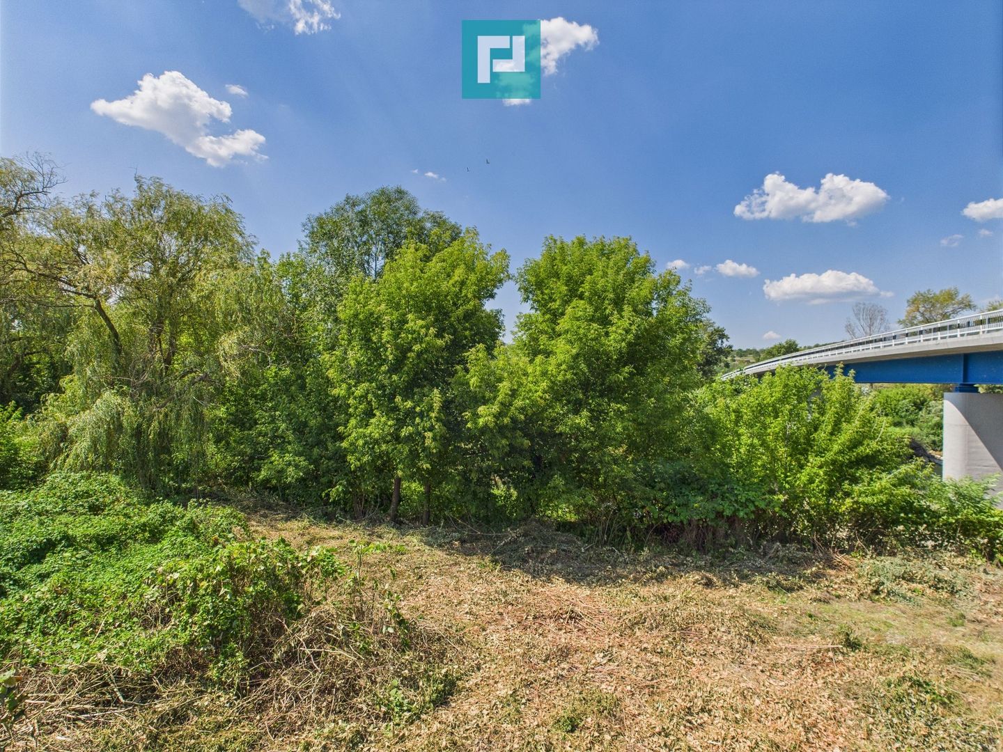 Pensiune în Geoagiu pe malul râului Mureș - Poză 18